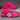 Journey 3.0 Pink Platform Sneakers - Lifestyle Shot 3 | Xpression Sneakers