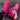 Journey 3.0 Pink Platform Sneakers - Lifestyle Shot 4 | Xpression Sneakers