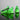 BEICSI Strike Green Running Sneakers - Upper Detail | Xpression Sneakers