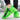 BEICSI Strike Green Sneakers - Inner Lining Detail | Xpression Sneakers