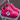Journey 3.0 Pink Platform Sneakers - Lifestyle Shot 1 | Xpression Sneakers